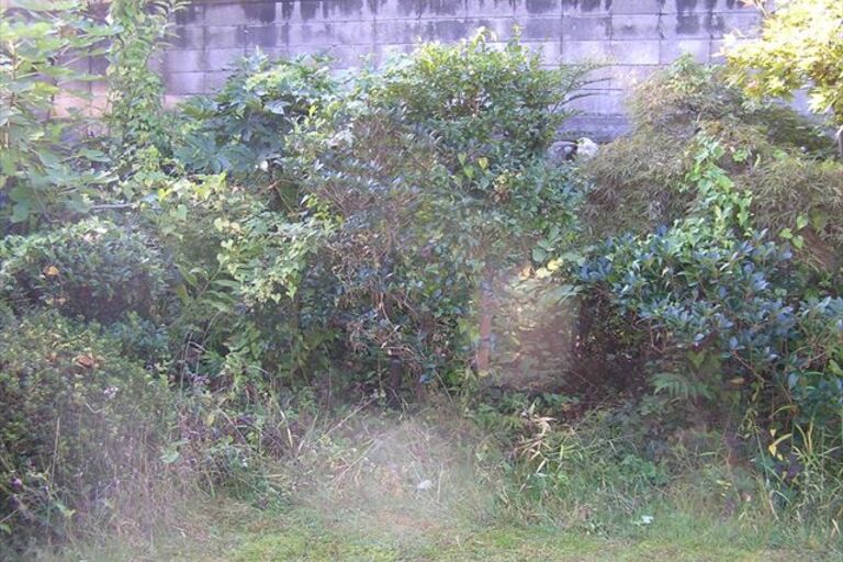 PA130039_R