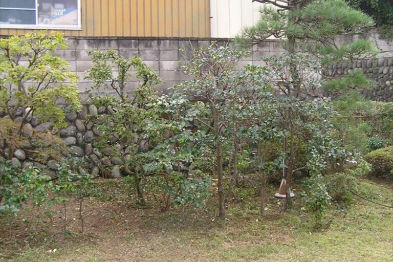 PA140045_R