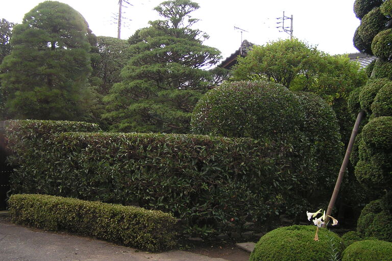 P8270754