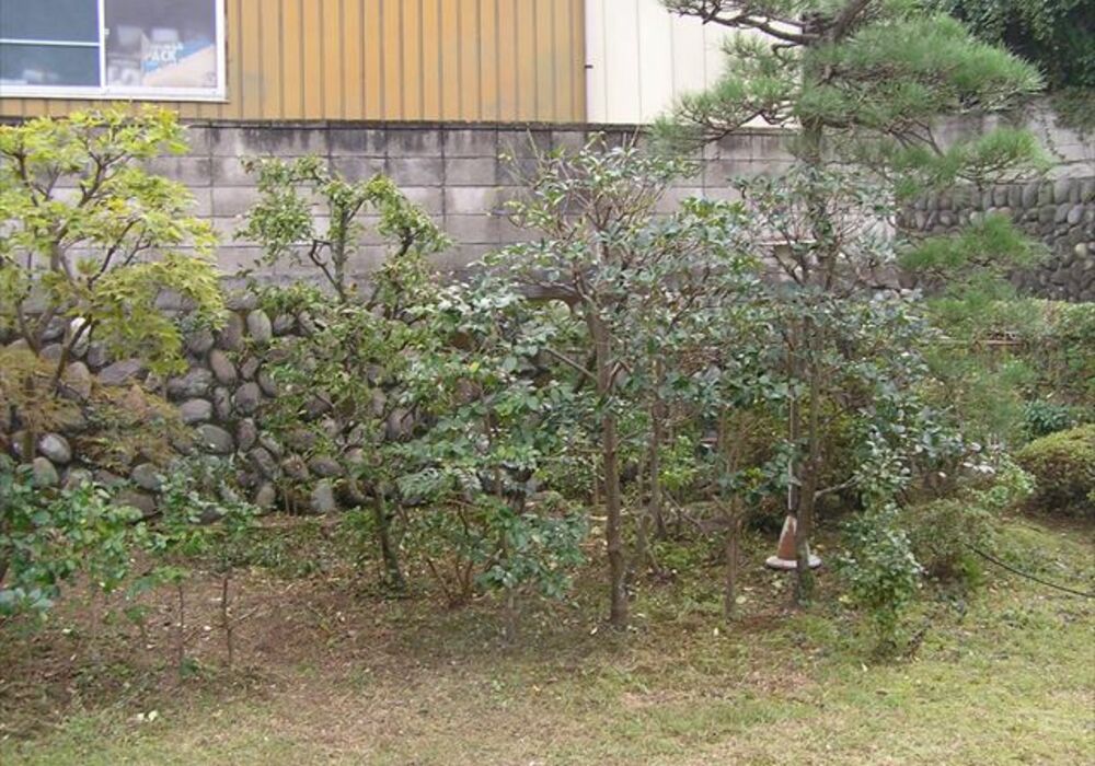 PA140045_R