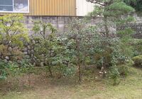 PA140045_R