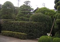 P8270754_R