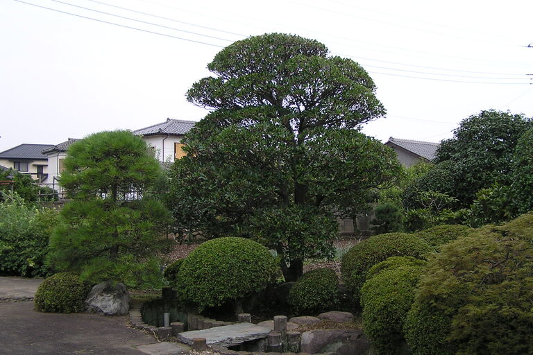 P8190750