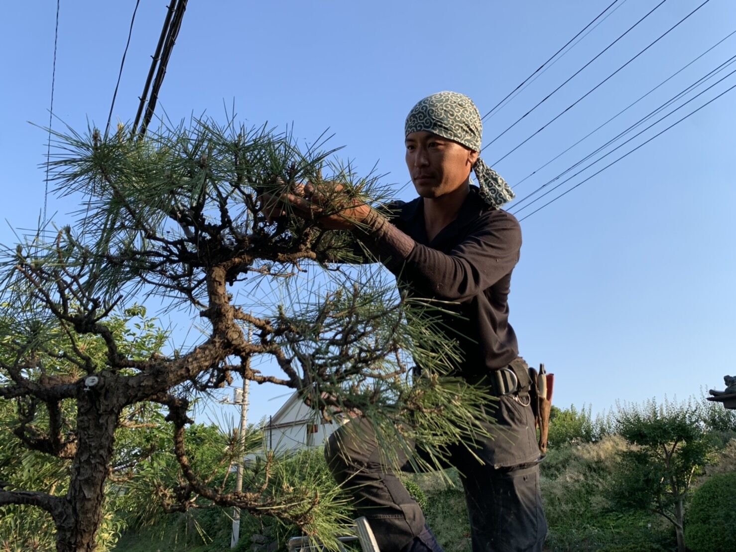 植原こうじ
