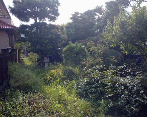 造園植木のせん定伐採