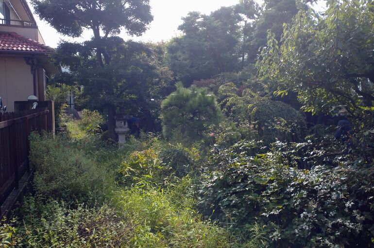 造園植木のせん定伐採