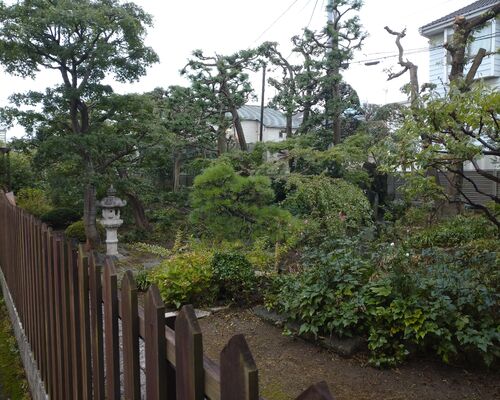 造園工事植木せん定
