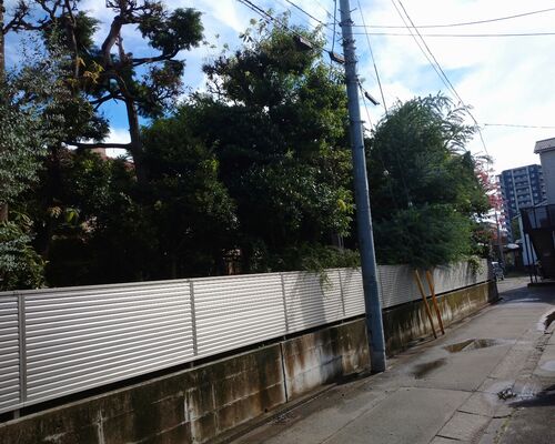高崎市植木の剪定