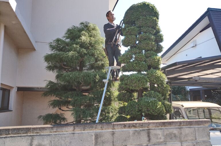 庭木剪定高崎造園