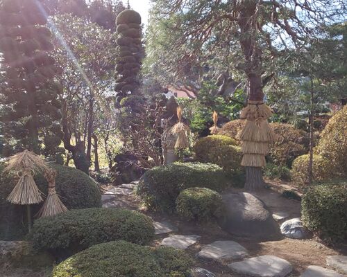 造園植木ワラ囲い自然石