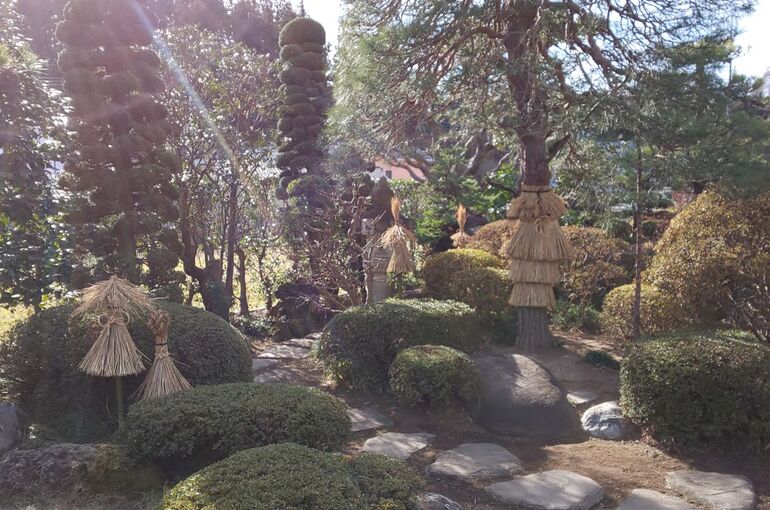 造園植木ワラ囲い自然石