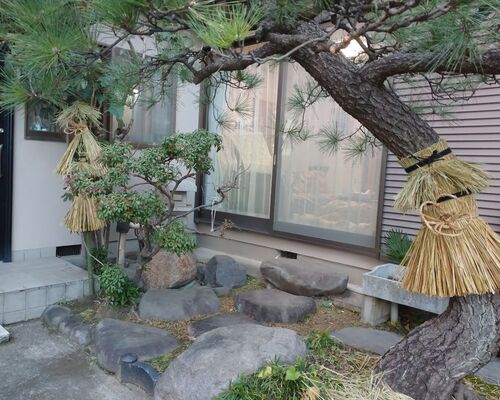 リフォーム庭造園植木の移動