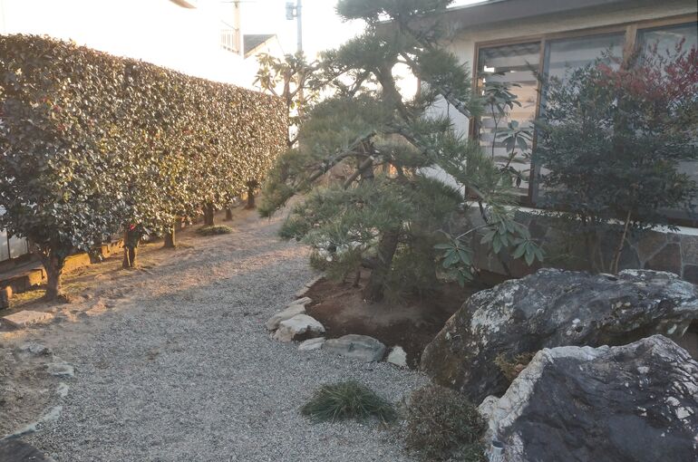 造園和風黒松庭石
